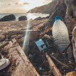plastic waste on a beach