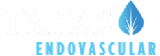 Texas Endovascular Footer Logo
