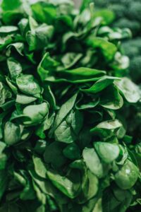 spinach lowers PAD risk